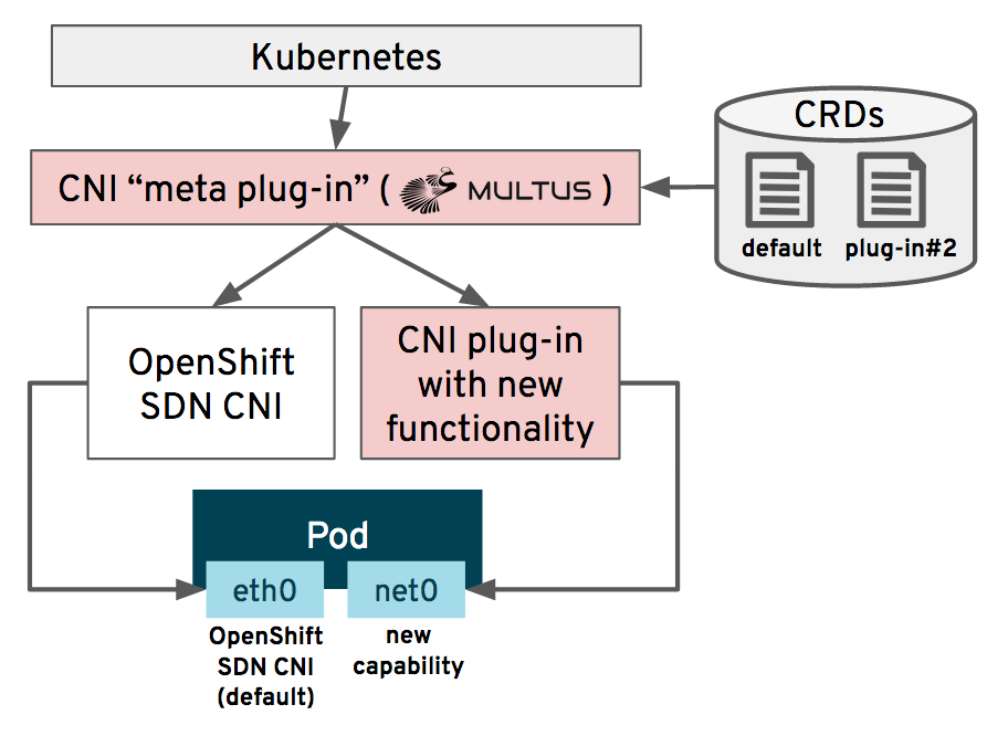 Demystifying Multus